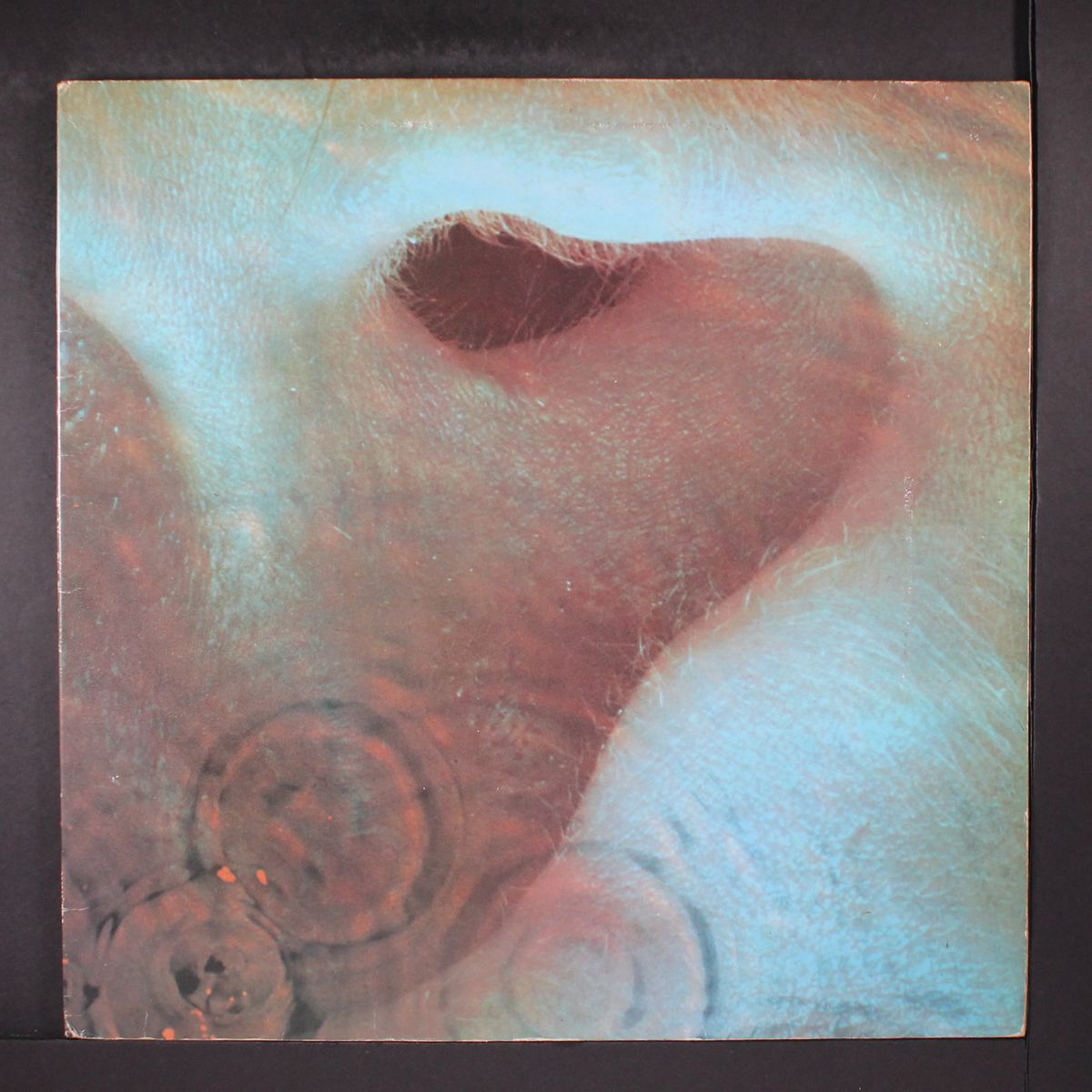 meddle by PINK FLOYD