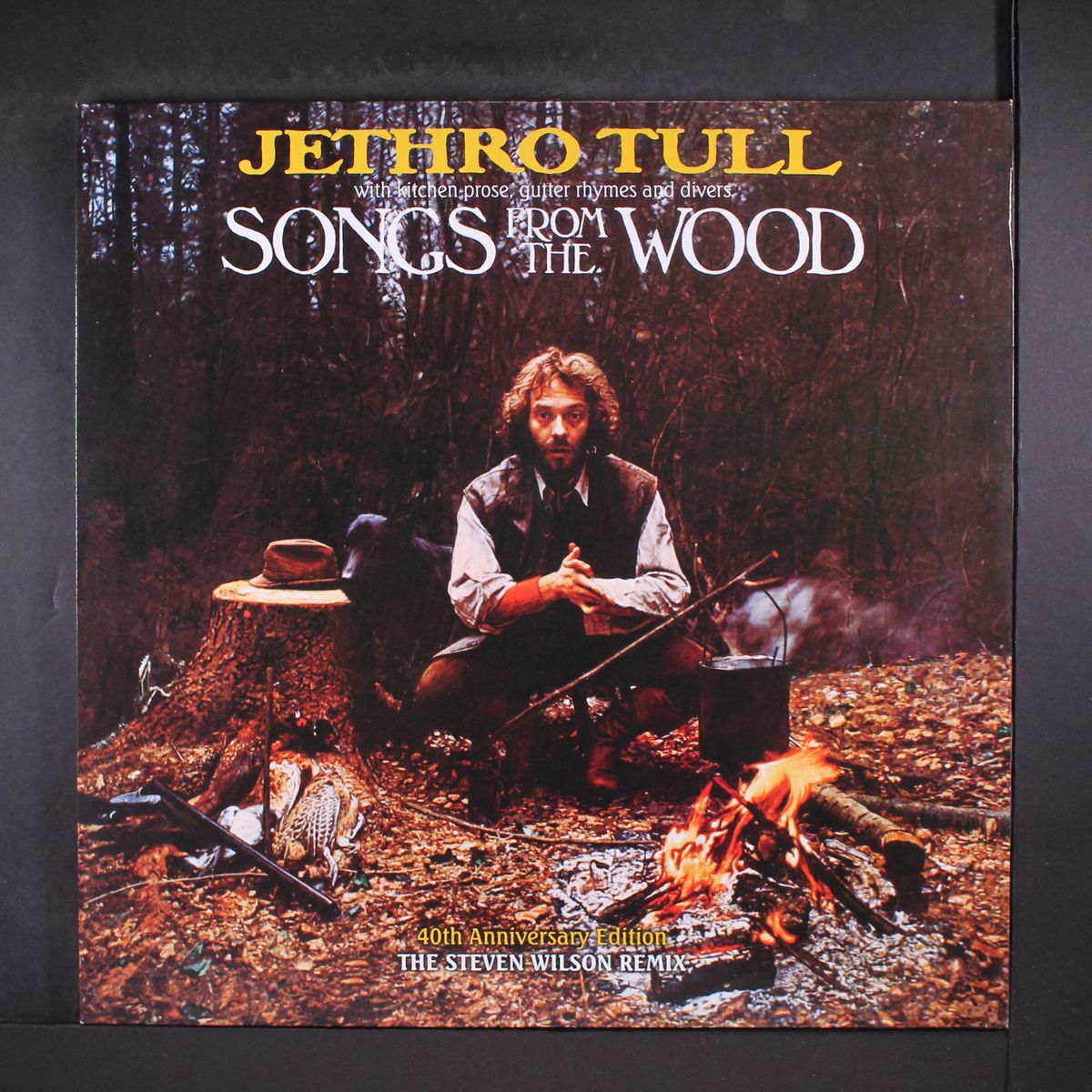 songs from the wood by JETHRO TULL