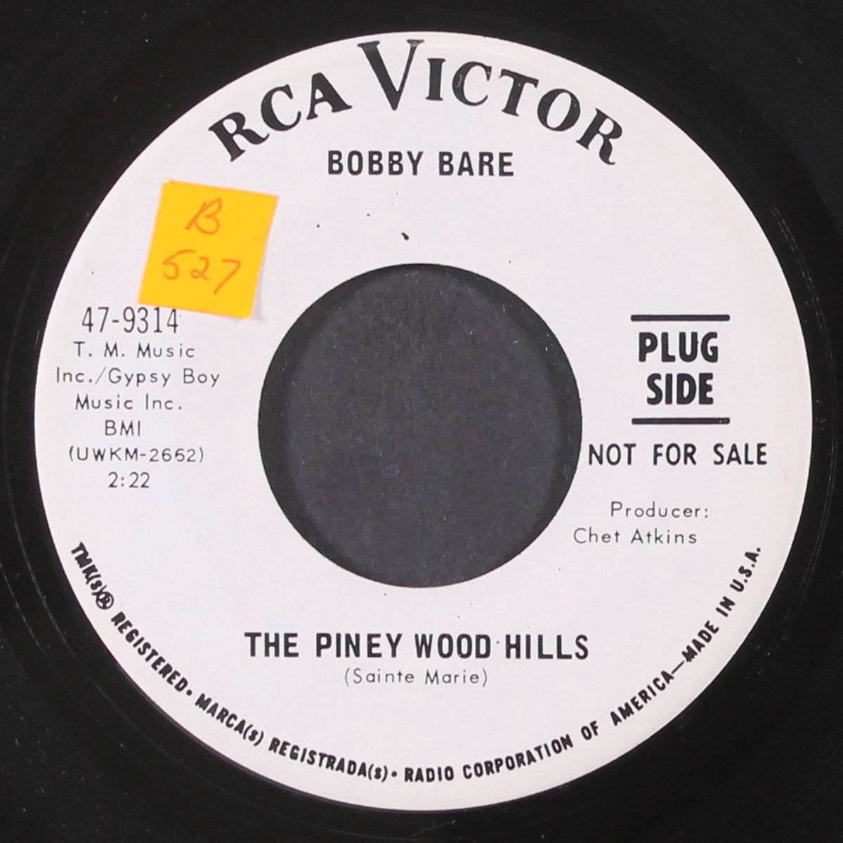 the piney wood hills / they covered up the old swimmin' hole by BOBBY BARE