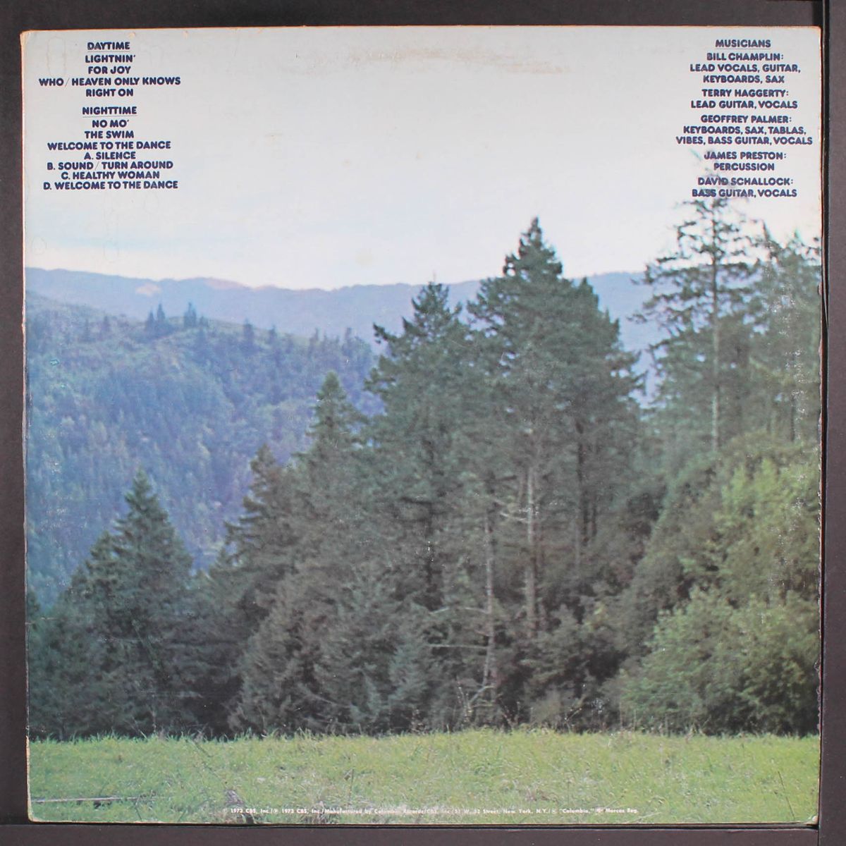 welcome to the dance by SONS OF CHAMPLIN
