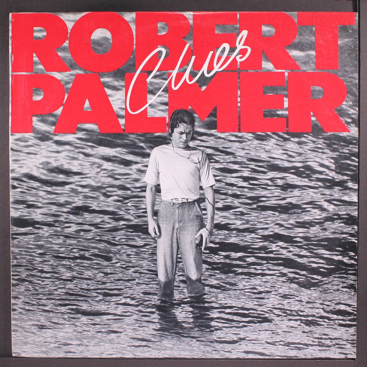 clues by ROBERT PALMER