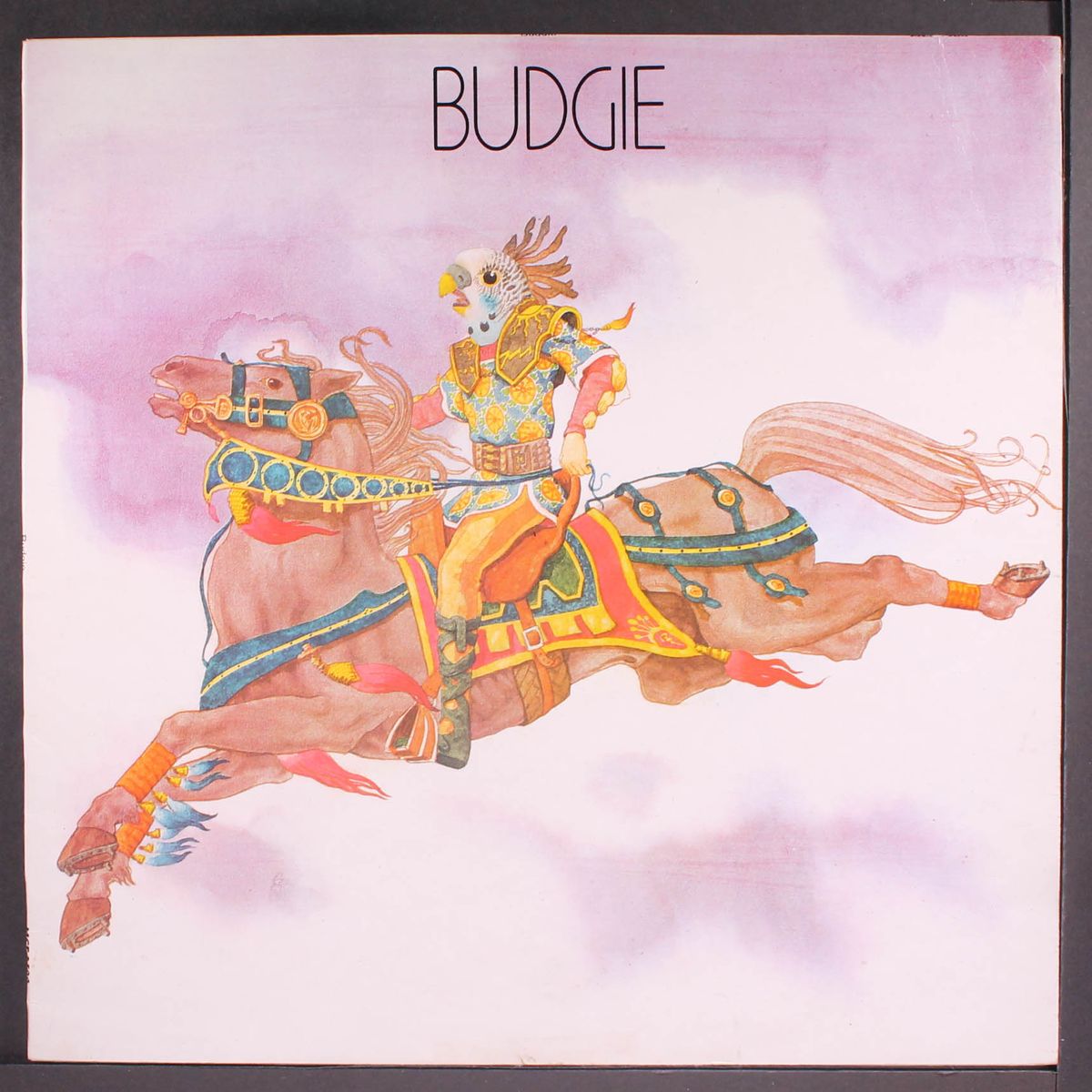 budgie by BUDGIE