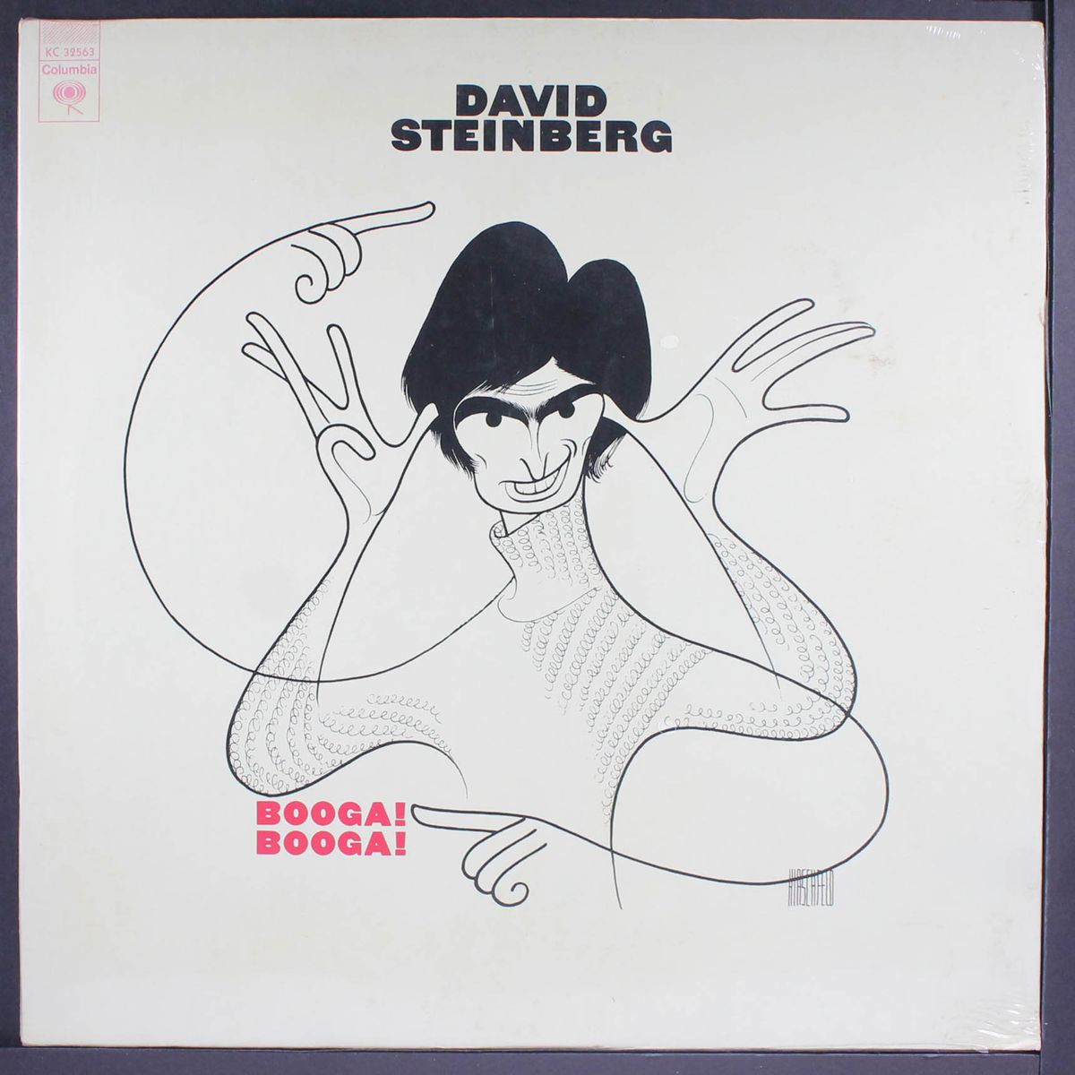 booga! booga! by DAVID STEINBERG