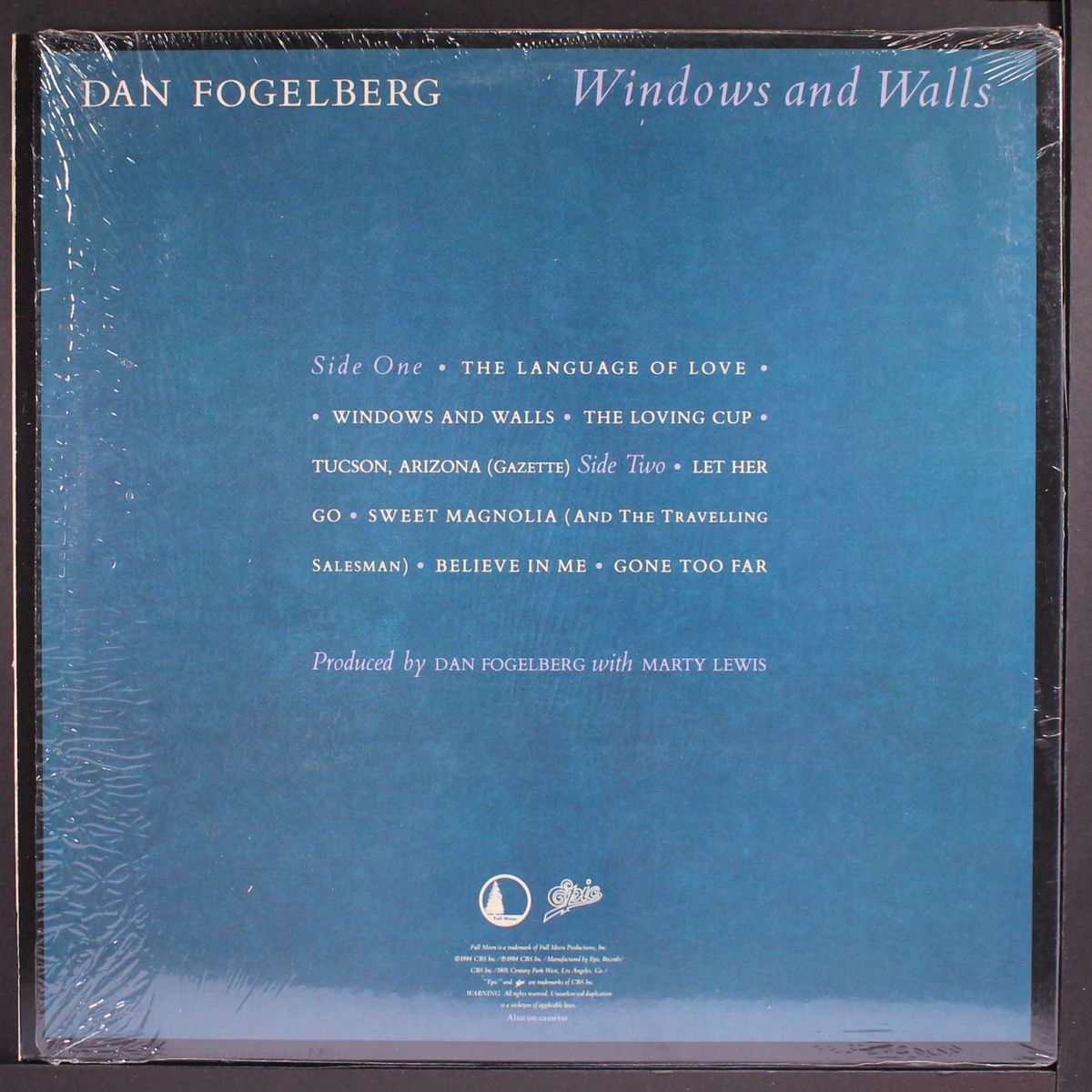 windows and walls by DAN FOGELBERG