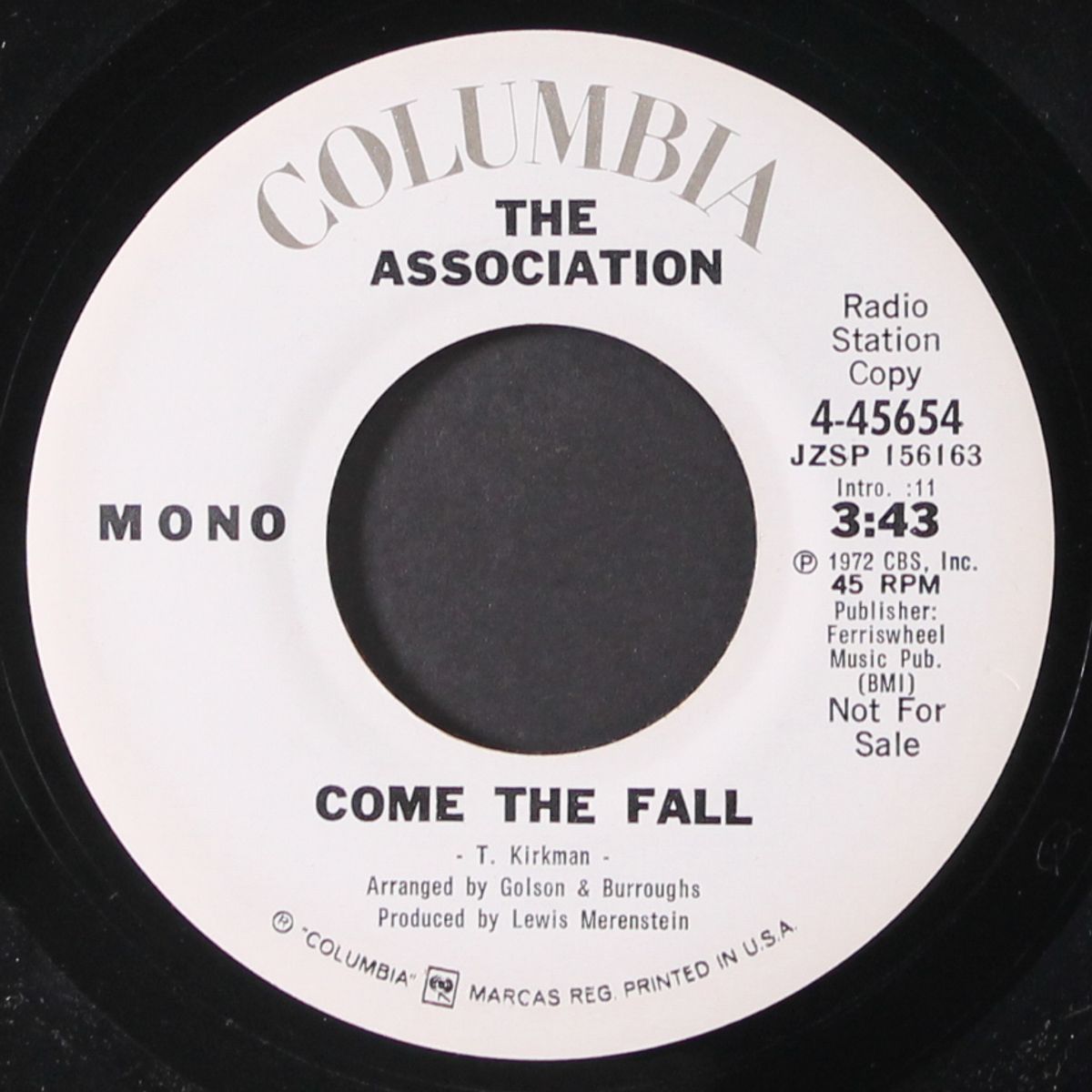 come the fall / mono by ASSOCIATION