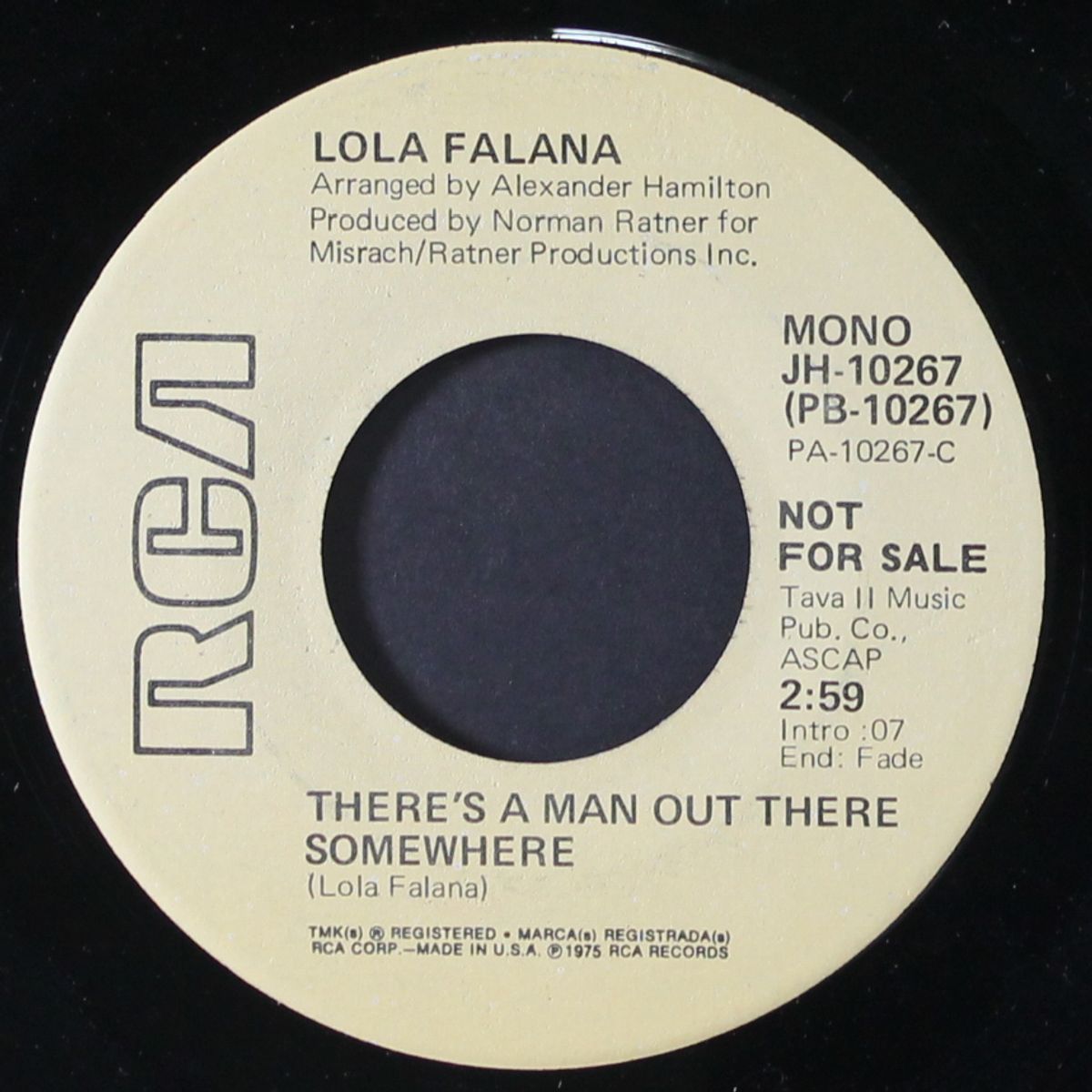 there's a man out there somewhere / mono by LOLA FALANA