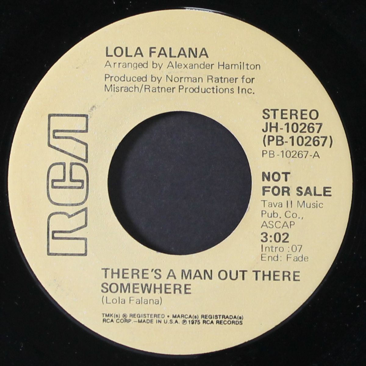 there's a man out there somewhere / mono by LOLA FALANA