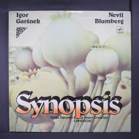 IGOR GARSNEK & NEVIL BLUMBERG