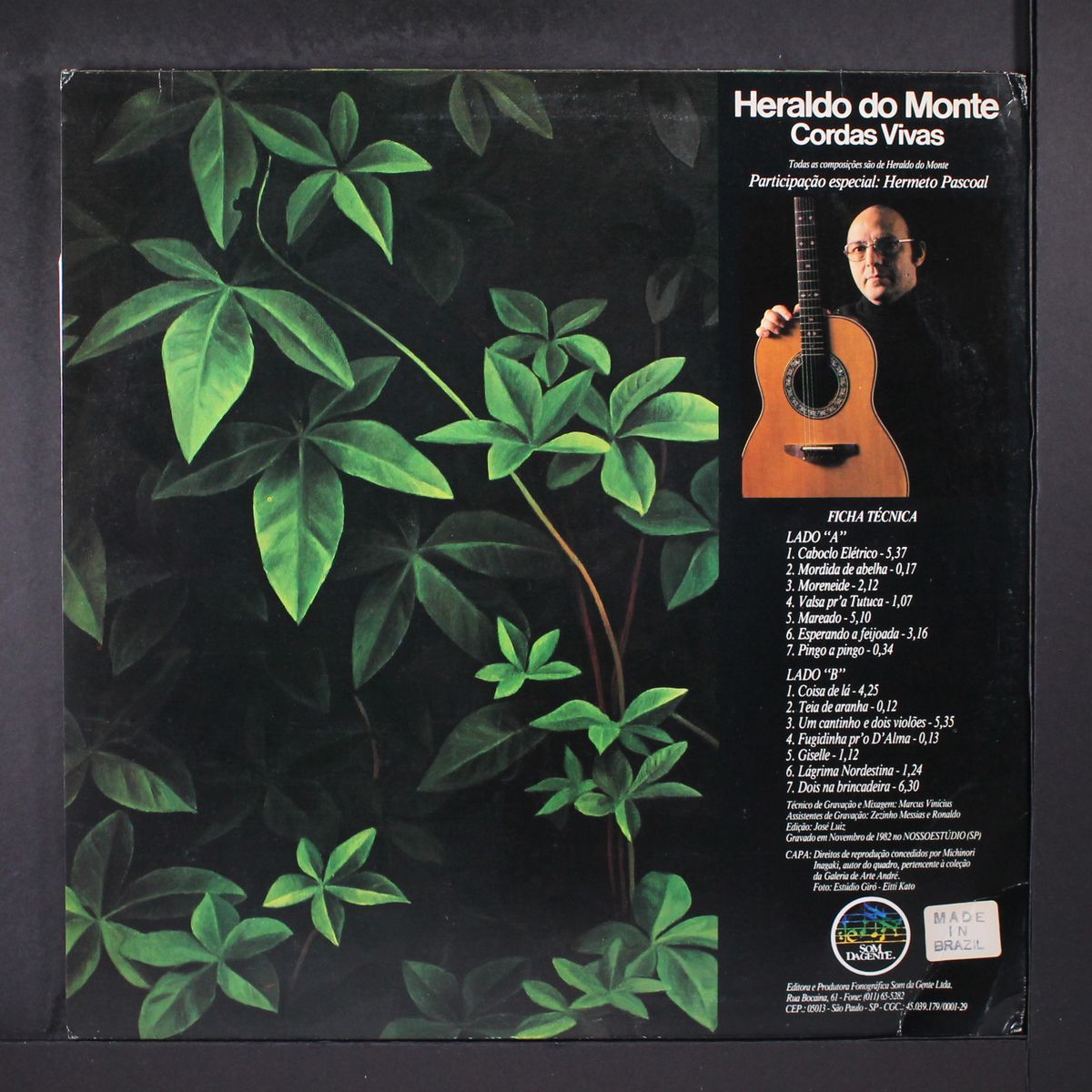 cordas vivas by HERALDO DO MONTE