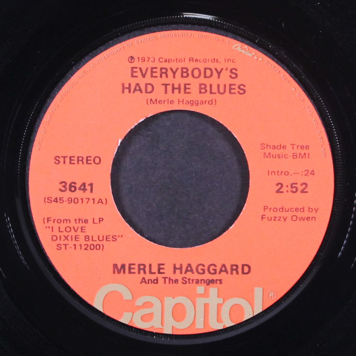 everybody's had the blues / nobody knows i'm hurtin' by MERLE HAGGARD