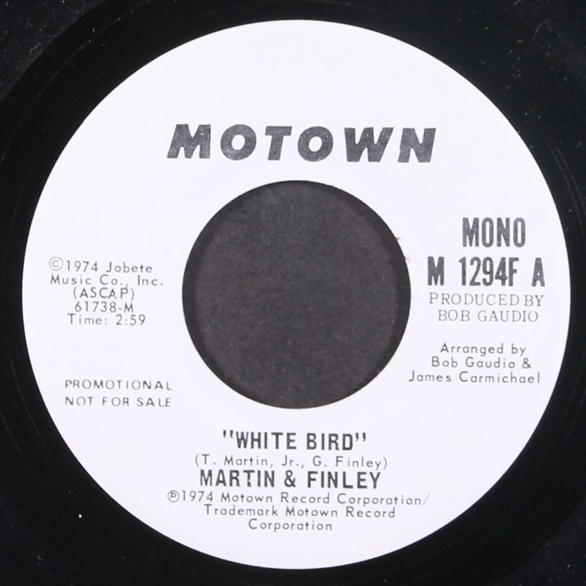 white bird / long version by MARTIN & FINLEY