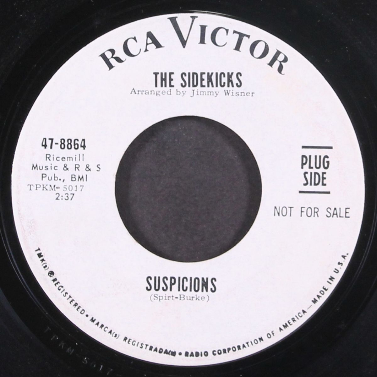 suspicions / up on the roof by SIDEKICKS