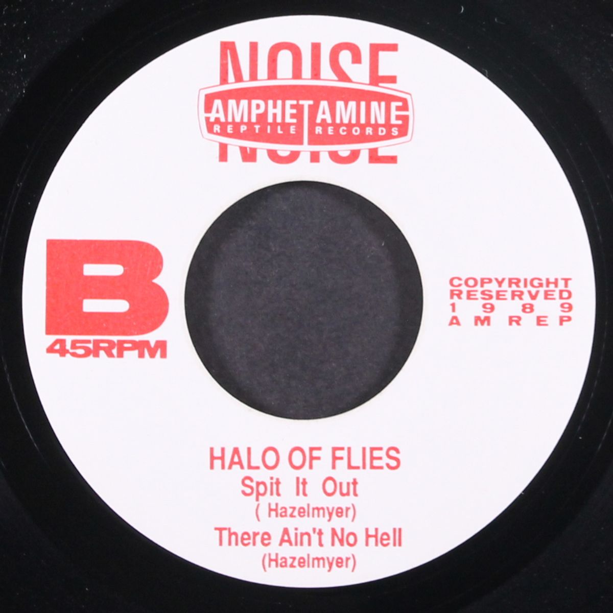 death of a fly by HALO OF FLIES
