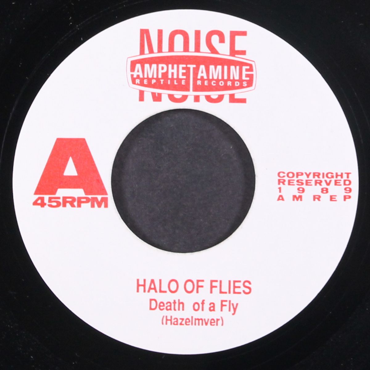 death of a fly by HALO OF FLIES