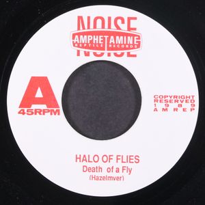 HALO OF FLIES