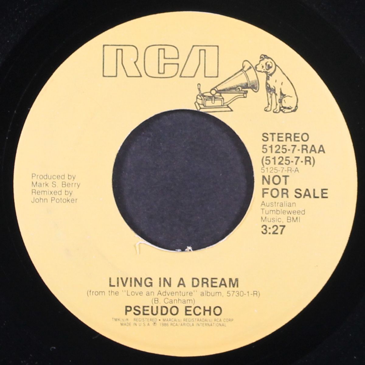 living in a dream by PSEUDO ECHO