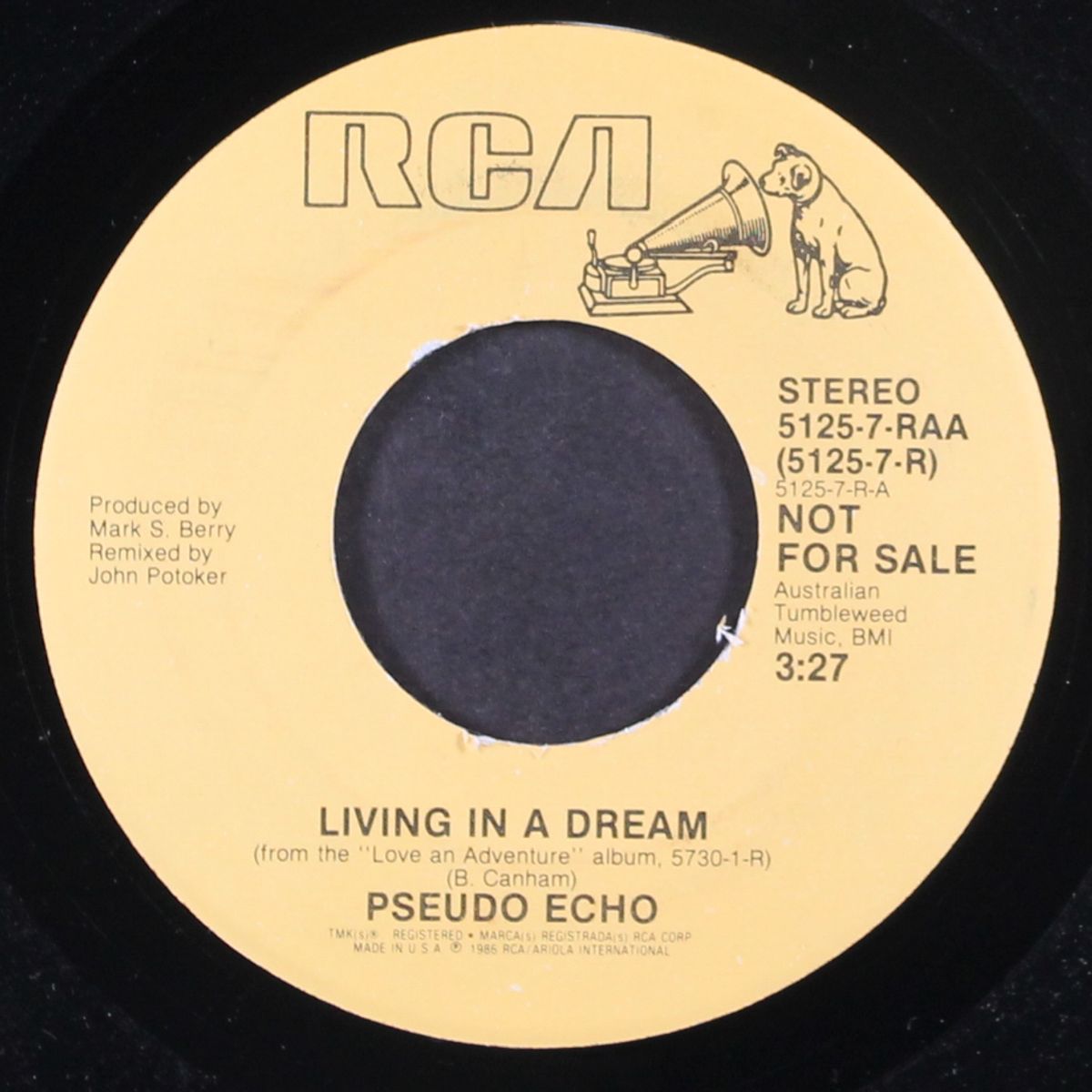 living in a dream by PSEUDO ECHO