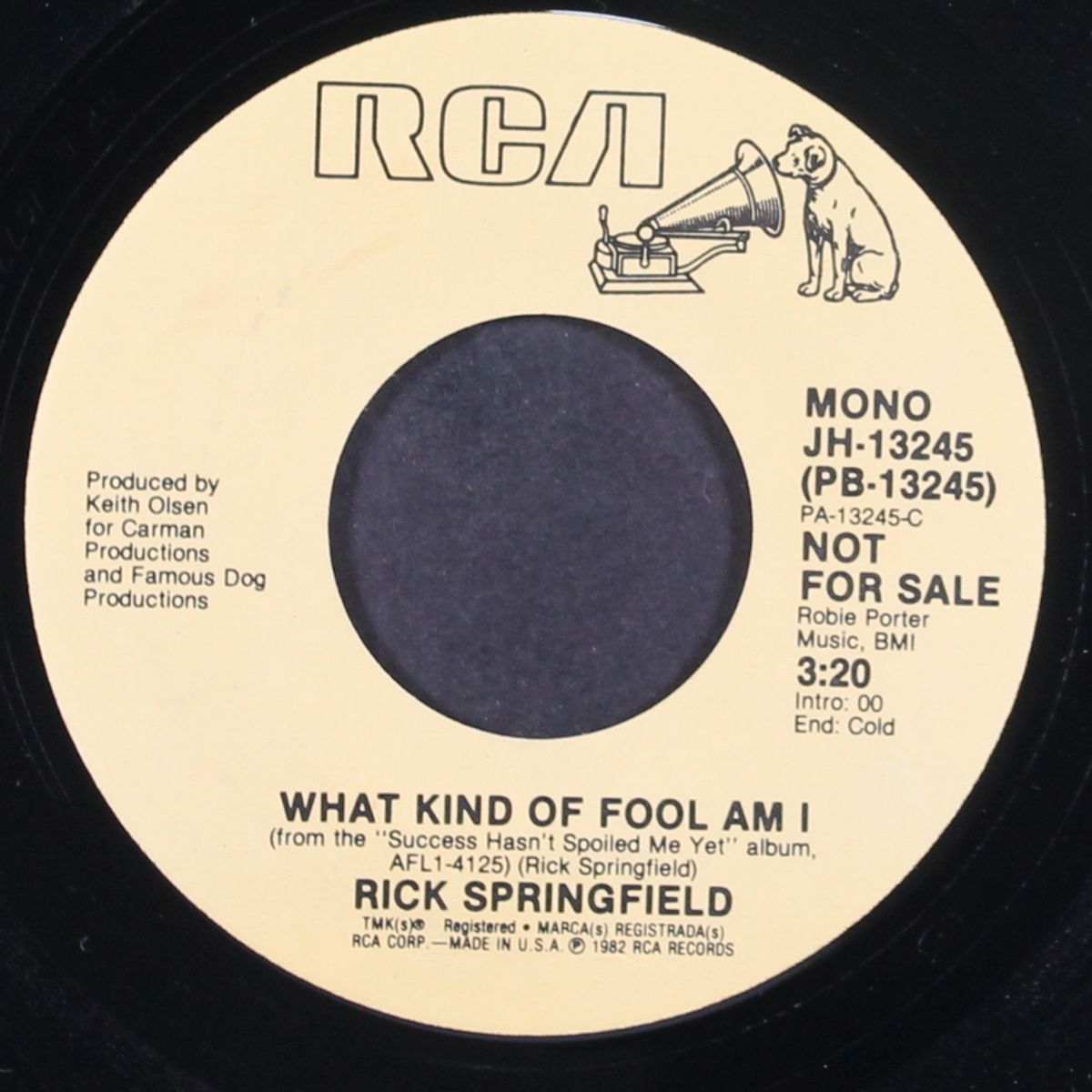 what kind of fool i am / mono by RICK SPRINGFIELD