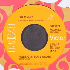 TED MULRY