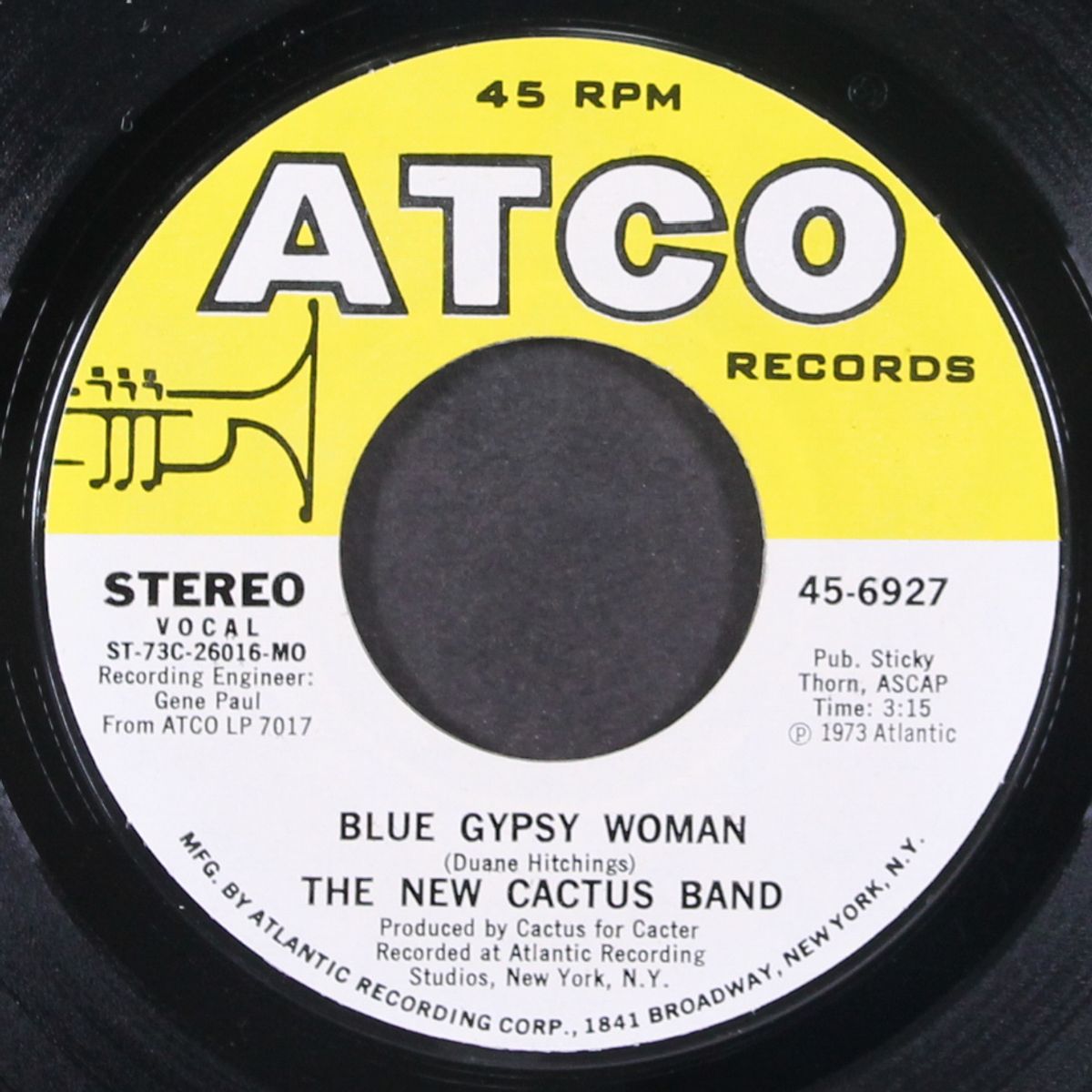 blue gypsy woman by NEW CACTUS BAND