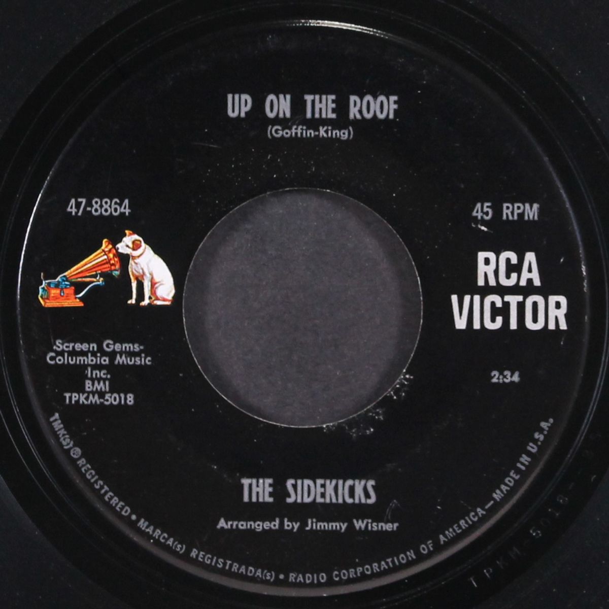suspicions / up on the roof by SIDEKICKS