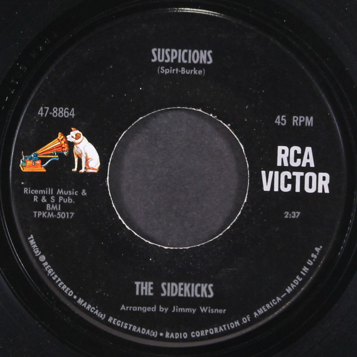 suspicions / up on the roof by SIDEKICKS