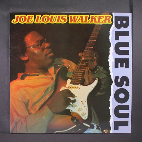 JOE LOUIS WALKER