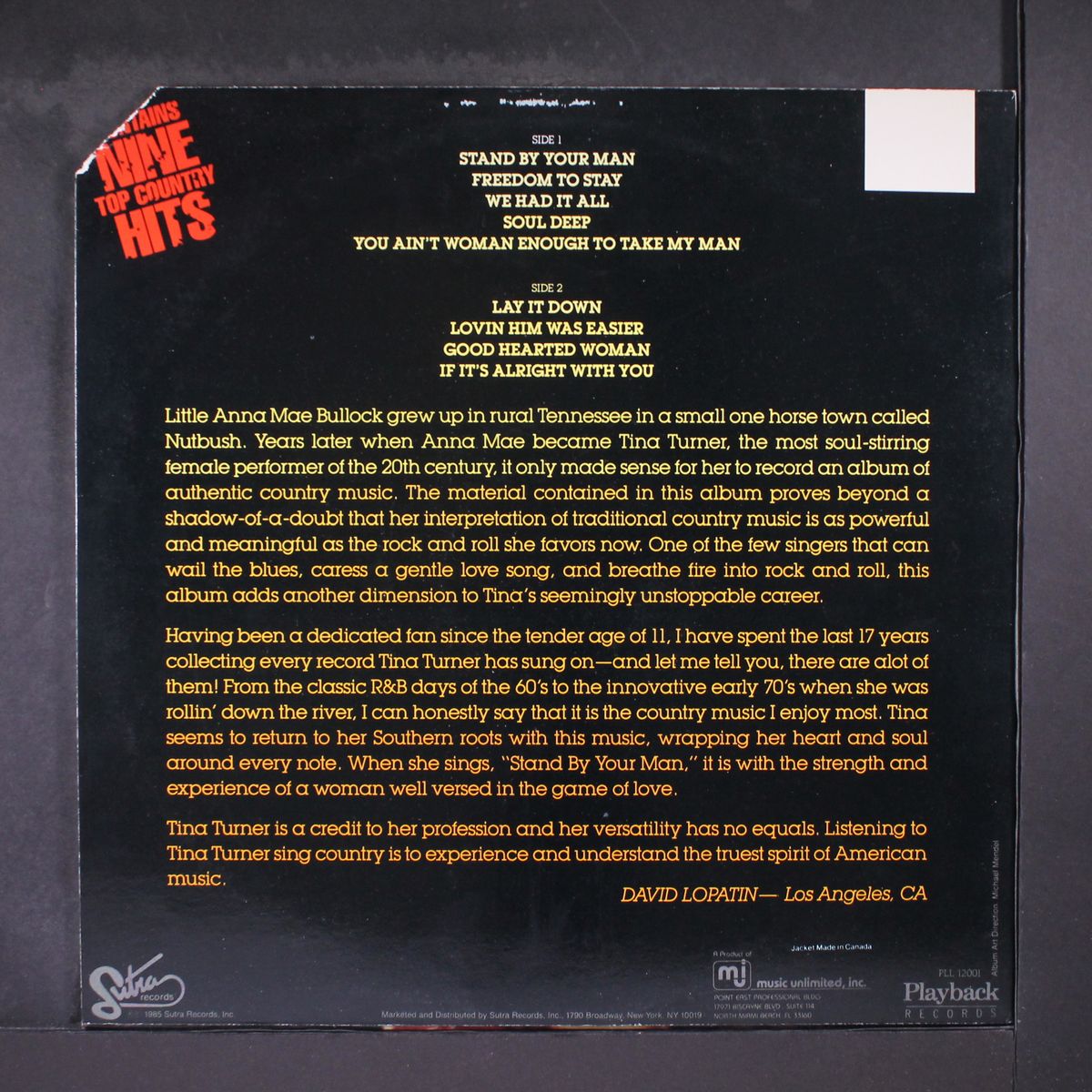 stand by your man by TINA TURNER