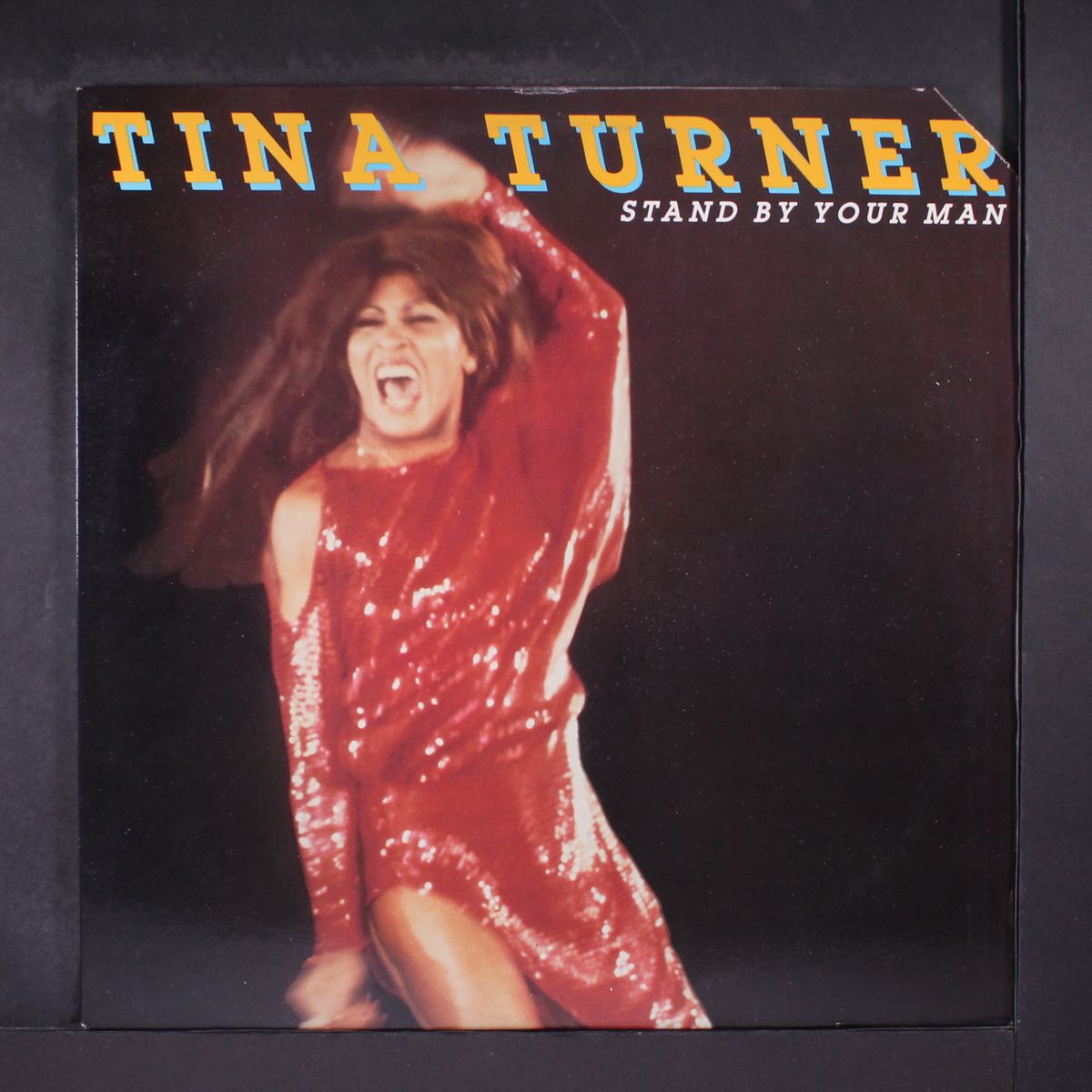 stand by your man by TINA TURNER