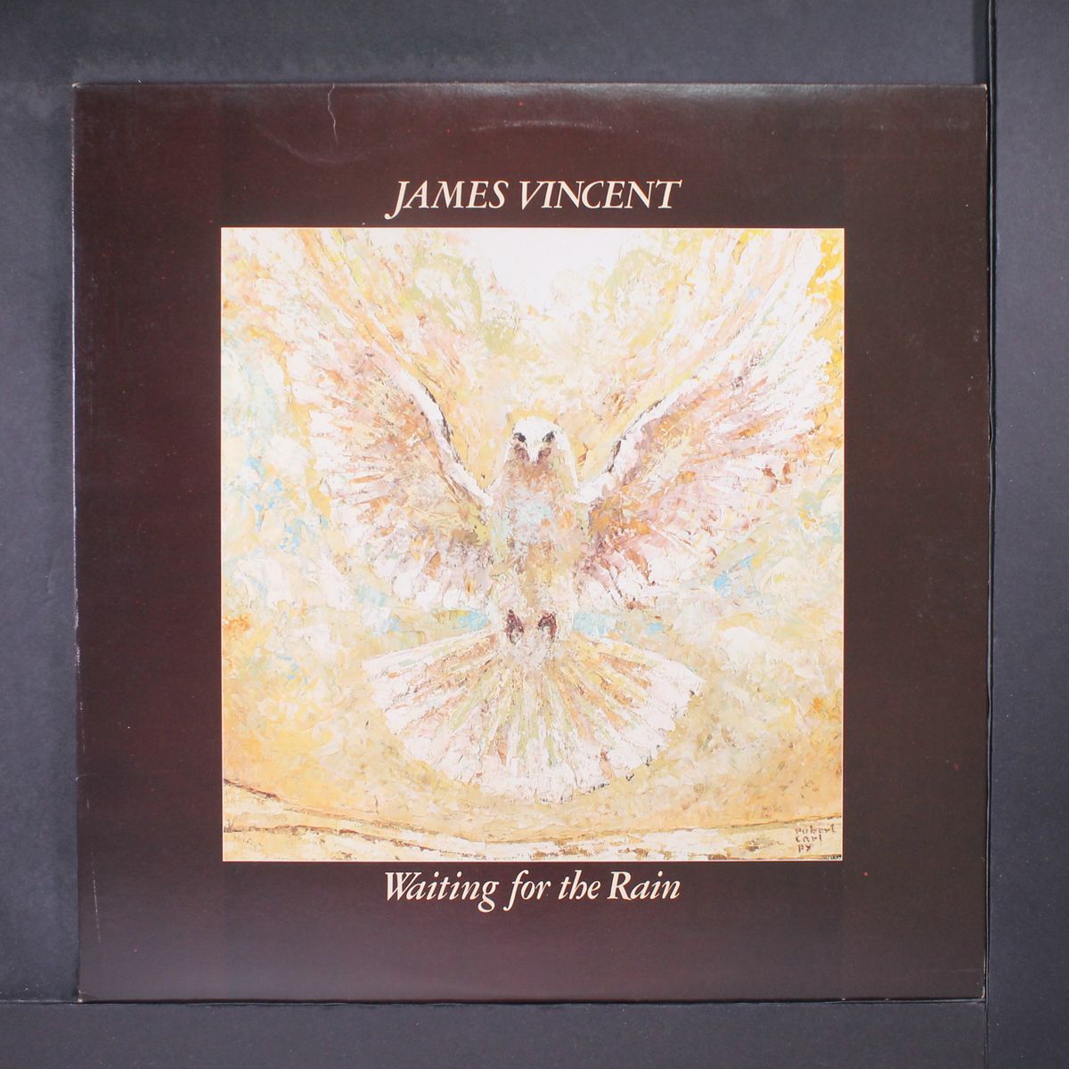 waiting for the rain by JAMES VINCENT