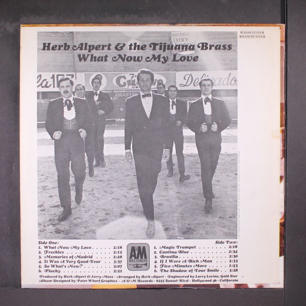 what now my love by HERB ALPERT & TIJUANA BRASS