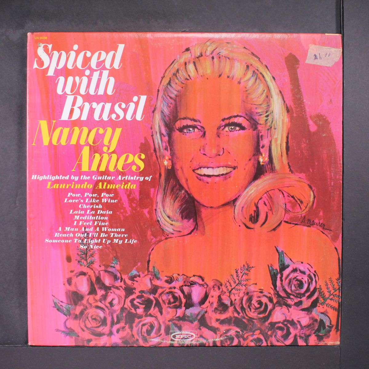 spiced with brasil by NANCY AMES