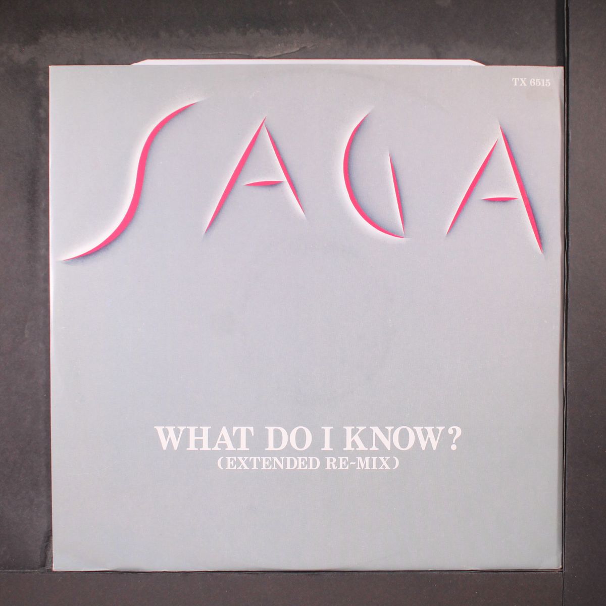 what do i know by SAGA