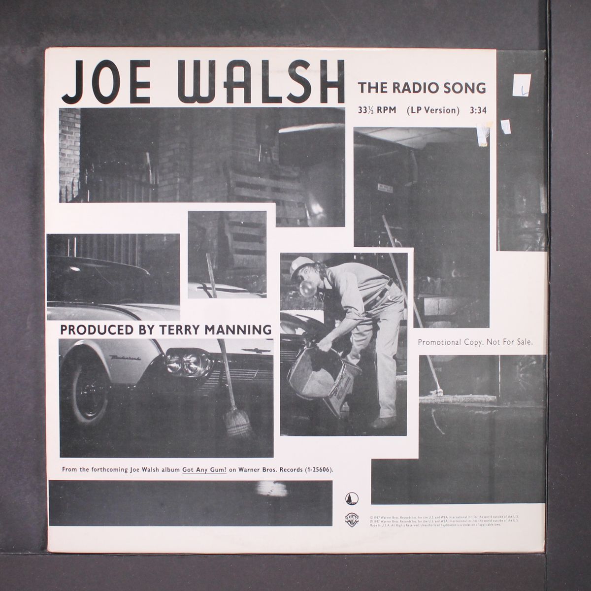 the radio song by JOE WALSH
