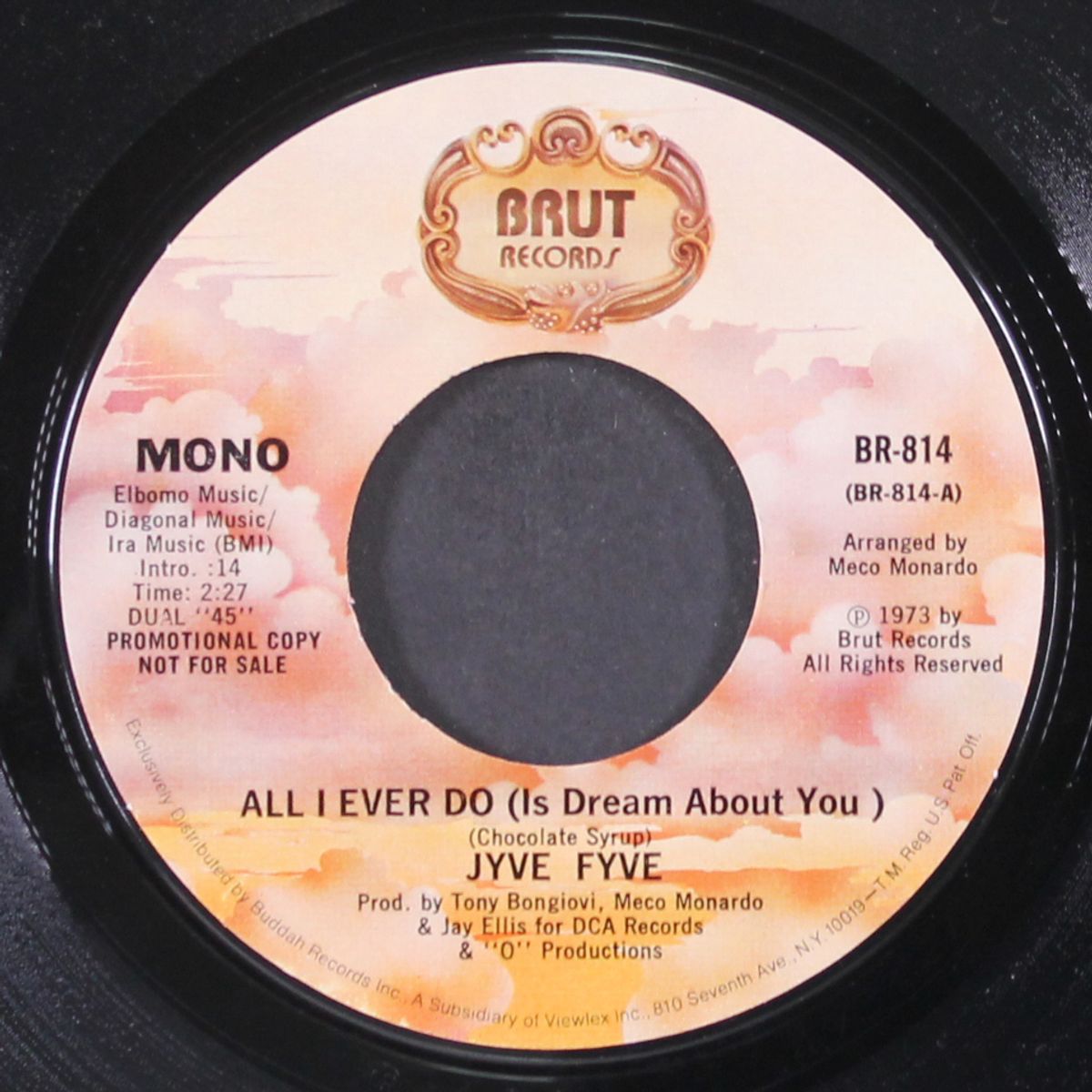 all i ever do / mono by JYVE FYVE