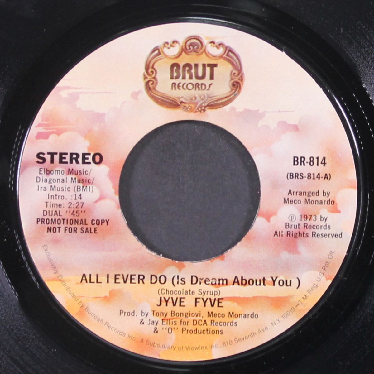 all i ever do / mono by JYVE FYVE