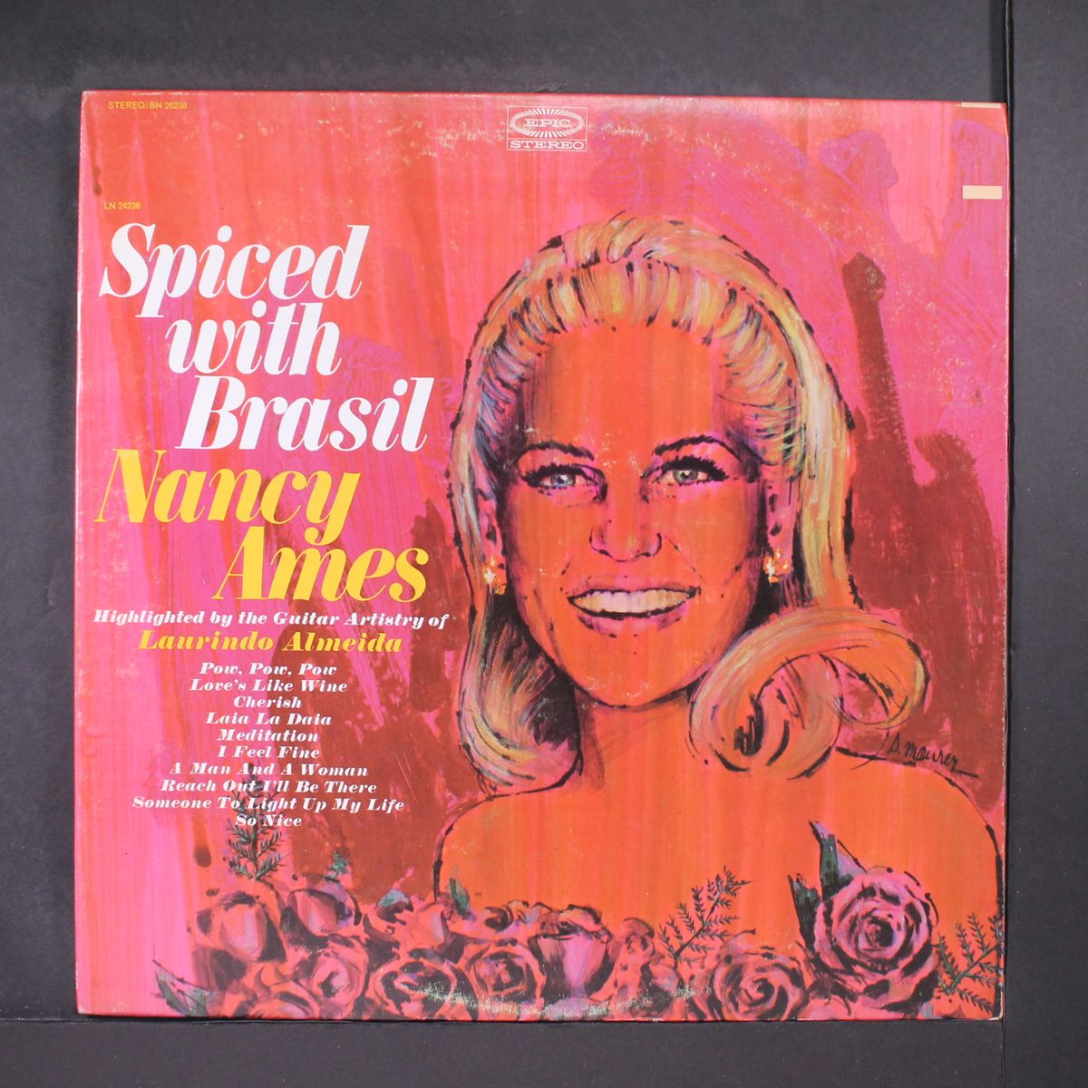 spiced with brasil by NANCY AMES