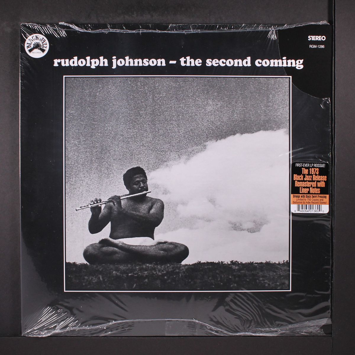 the second coming by RUDOLPH JOHNSON