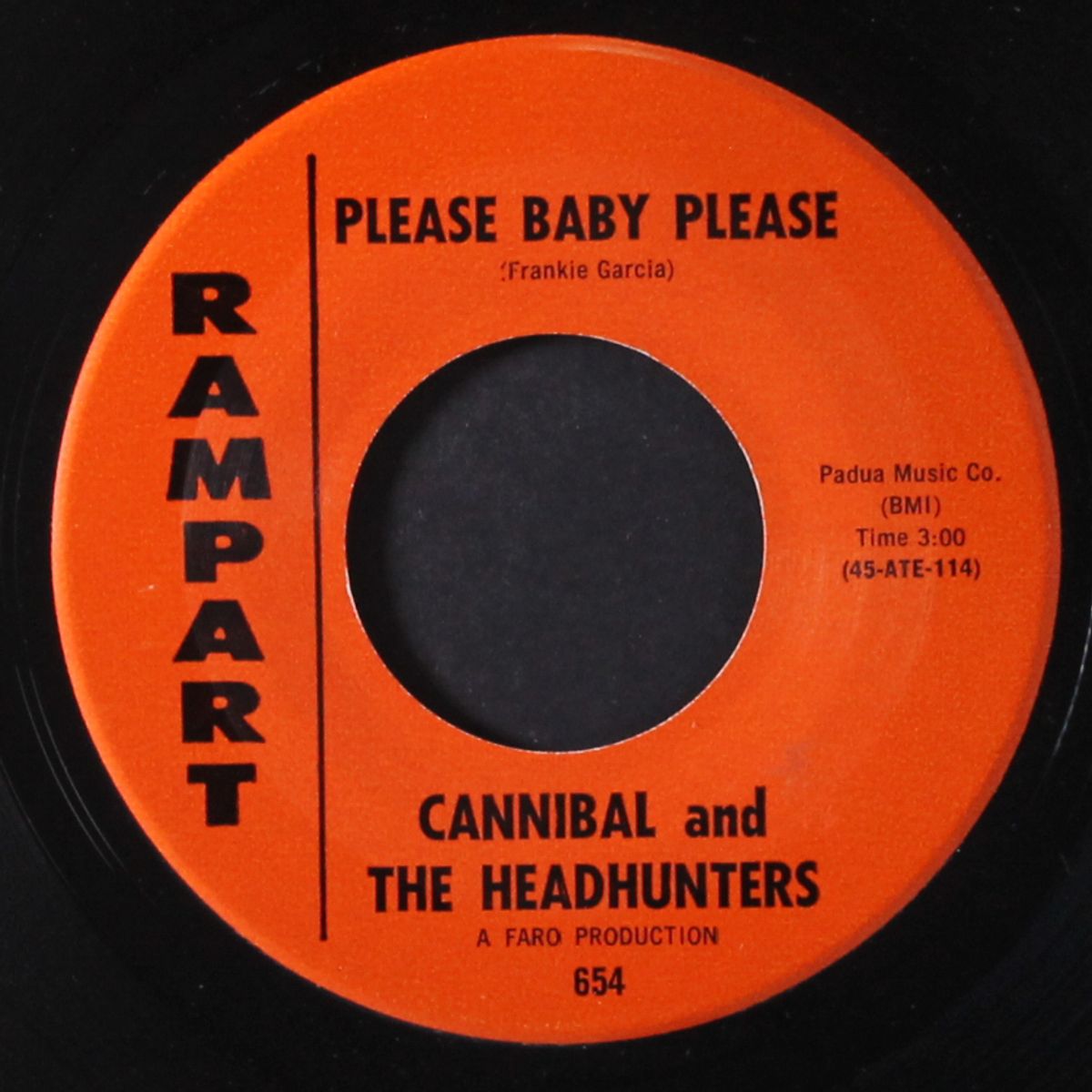 out of sight / please baby please by CANNIBAL & HEADHUNTERS