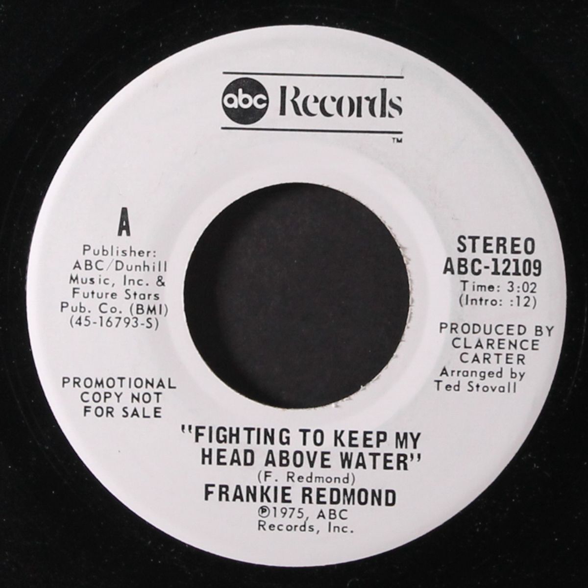 fighting to keep my head above water / mono by FRANKIE REDMOND