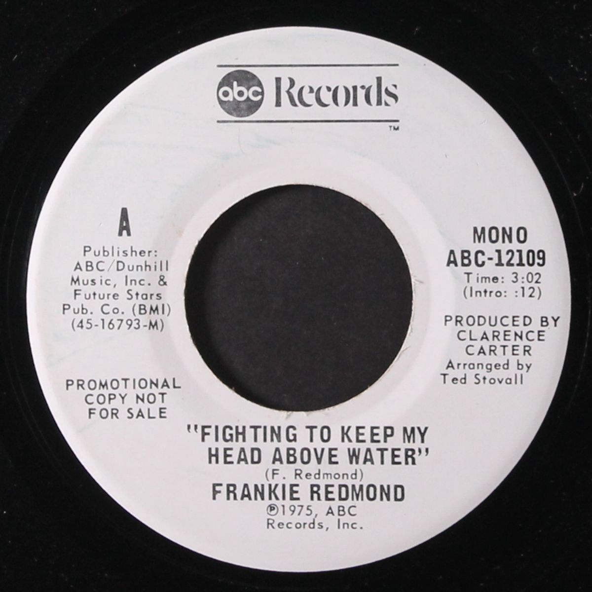 fighting to keep my head above water / mono by FRANKIE REDMOND
