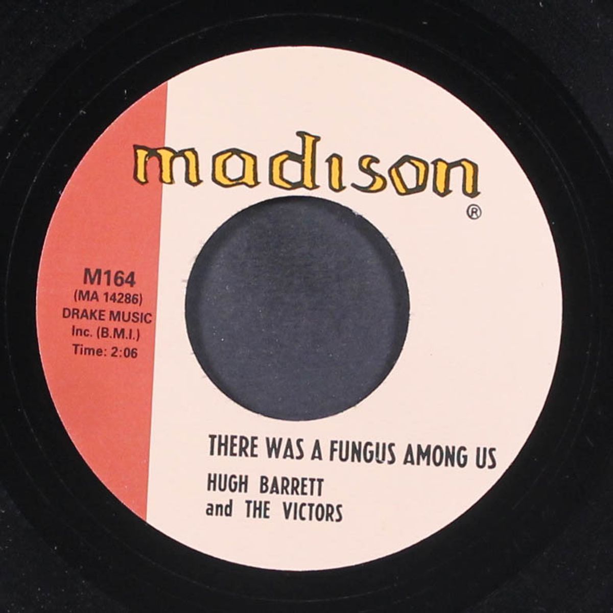 got the bull by the horns / there was a fungus among us by HUGH BARRETT