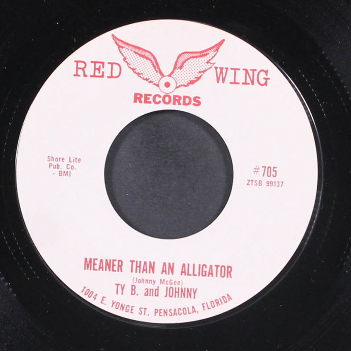 meaner than an alligator by TY B. & JOHNNY
