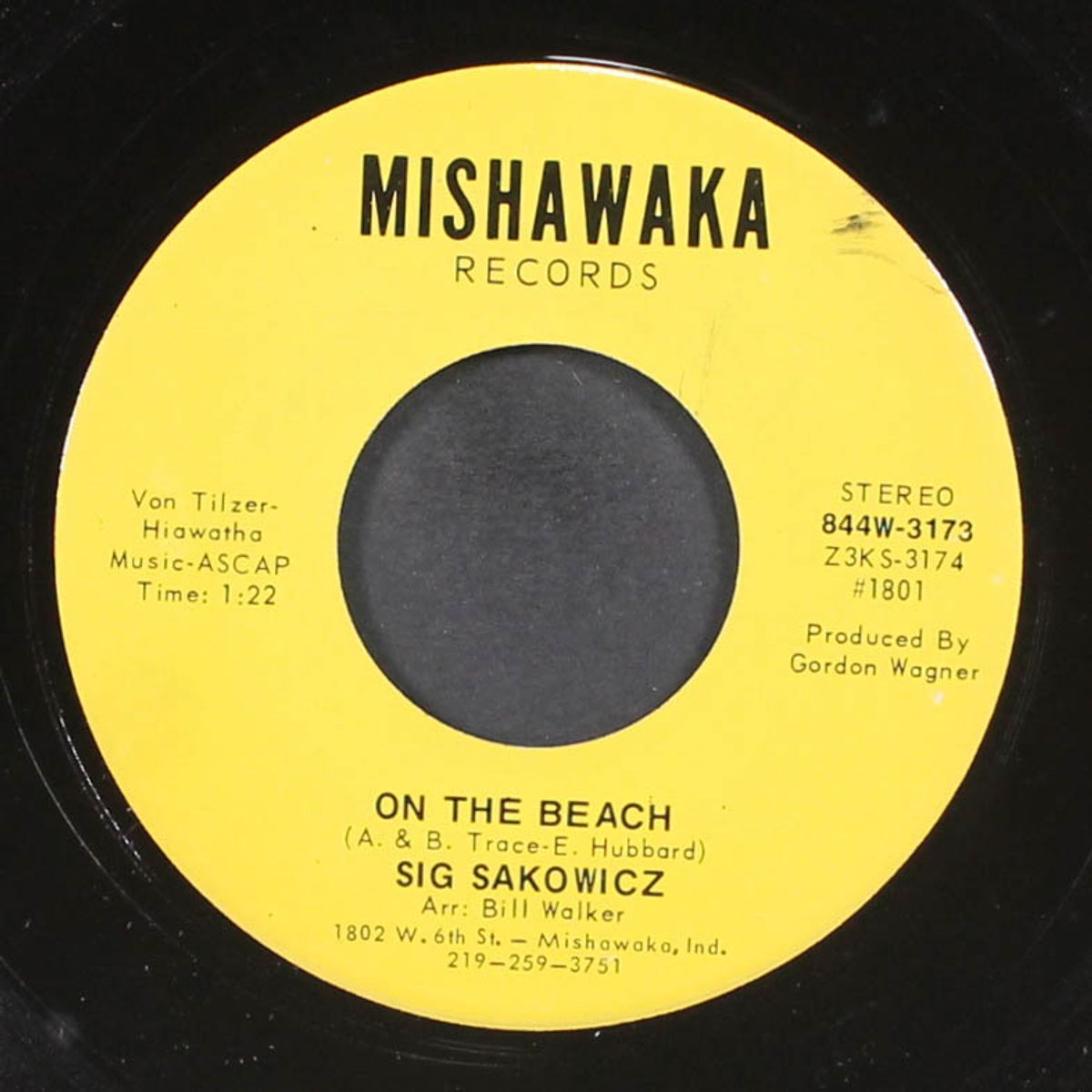 say nice things about people / on the beach by SIG SAKOWICZ
