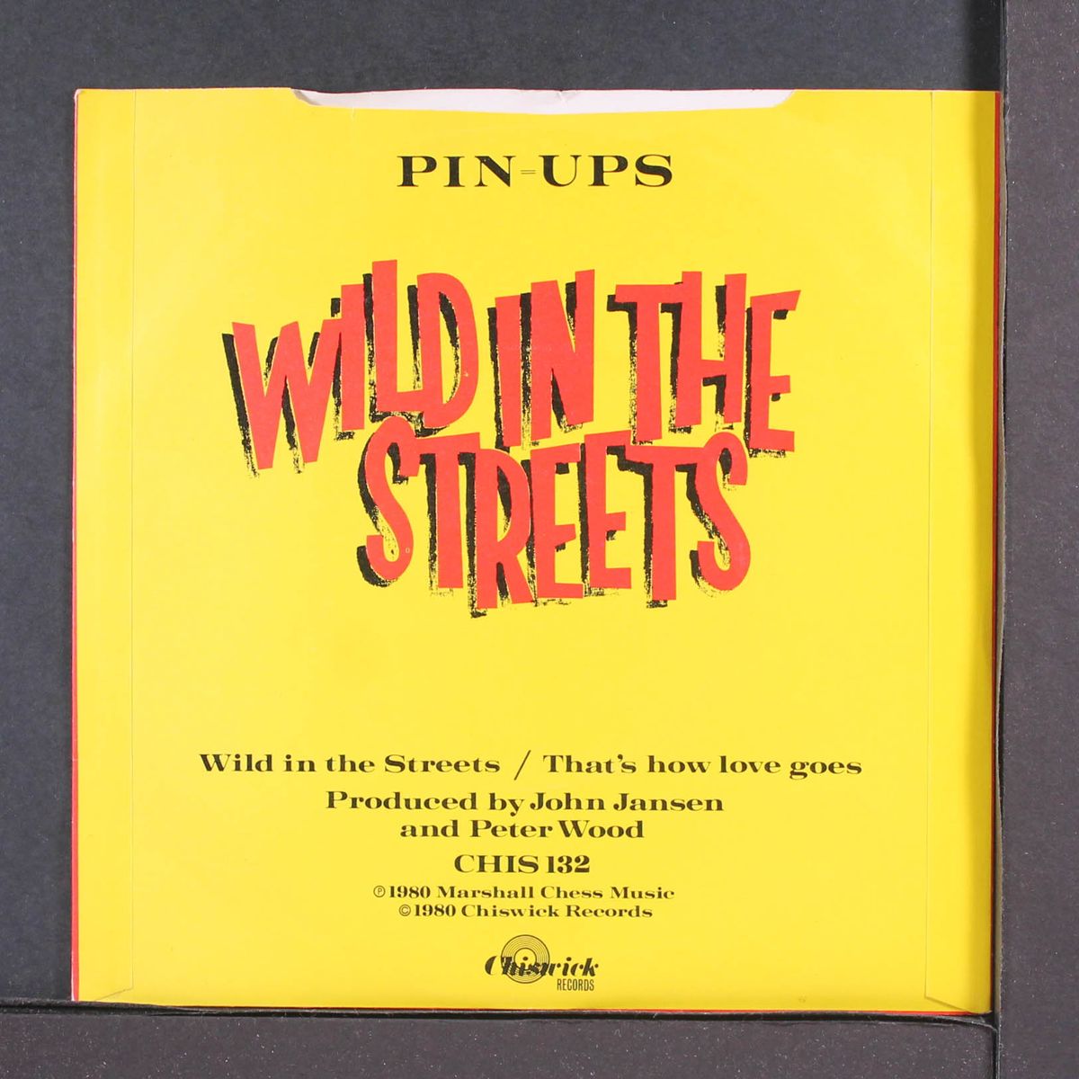 wild in the streets by PIN-UPS