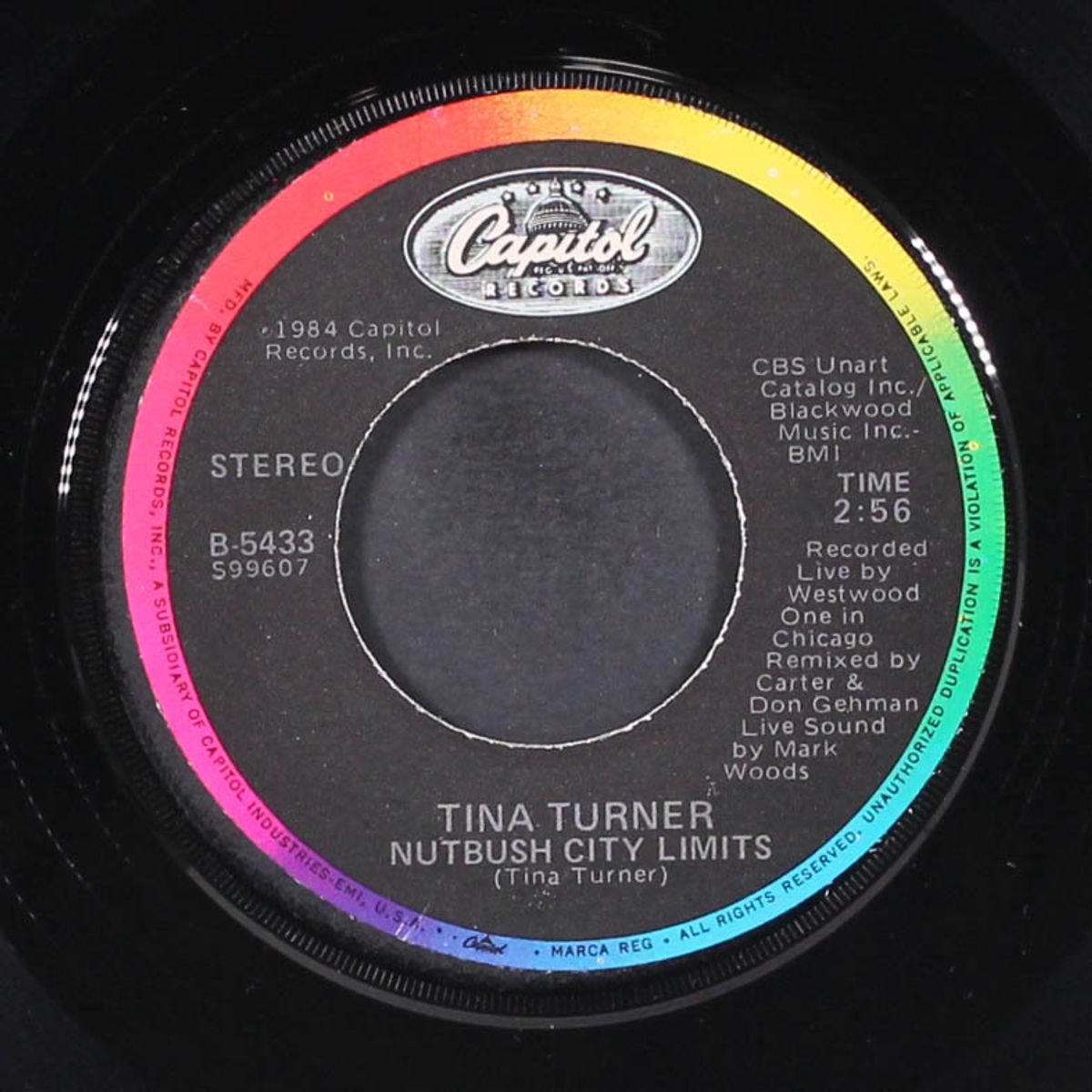 private dancer / nutbush city limits by TINA TURNER