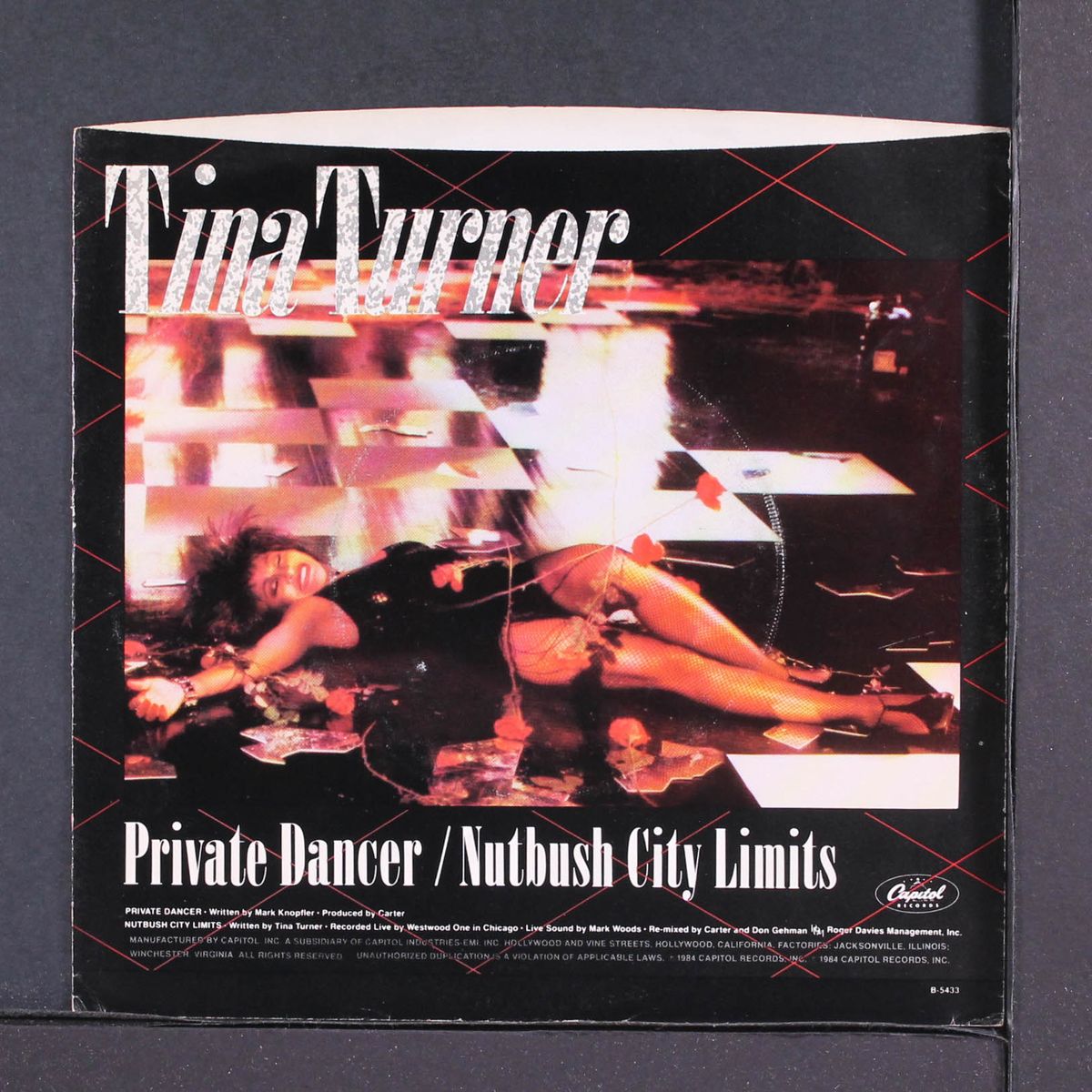 private dancer / nutbush city limits by TINA TURNER
