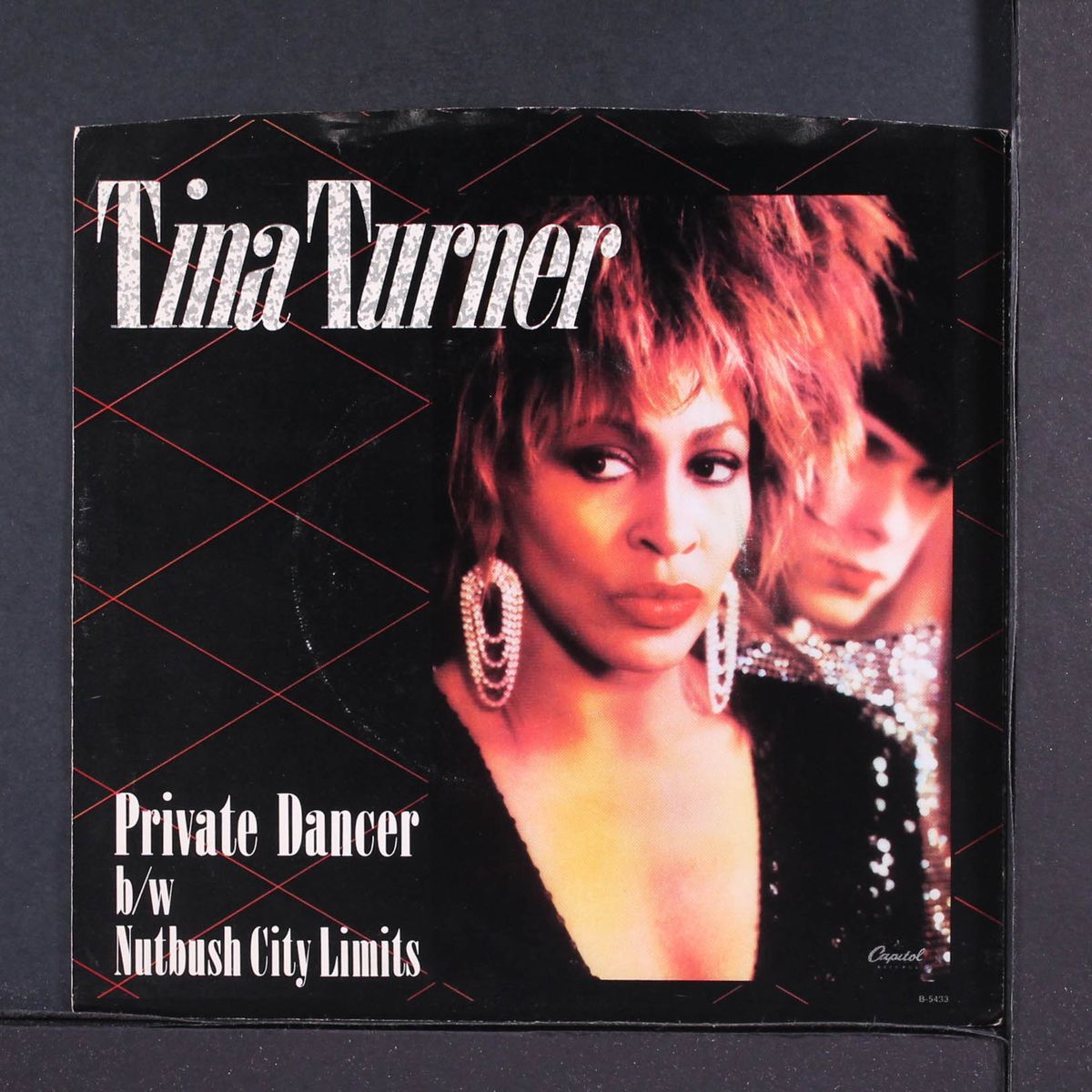 private dancer / nutbush city limits by TINA TURNER
