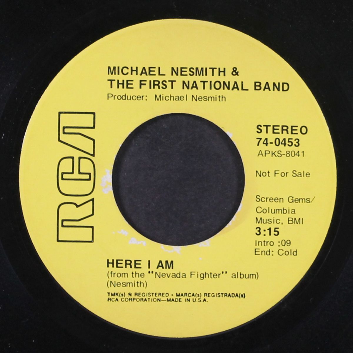 nevada fighter by MICHAEL NESMITH