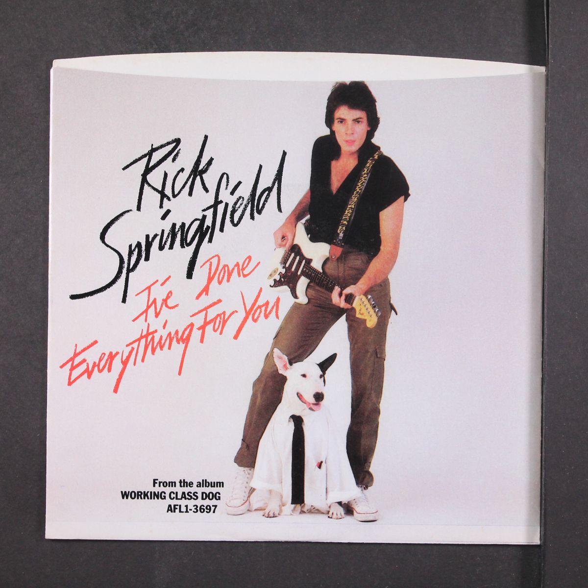 i've done everything for you by RICK SPRINGFIELD